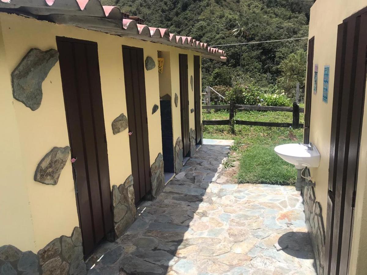 Refugio Nidos Del Condor Cocora سالنتو المظهر الخارجي الصورة