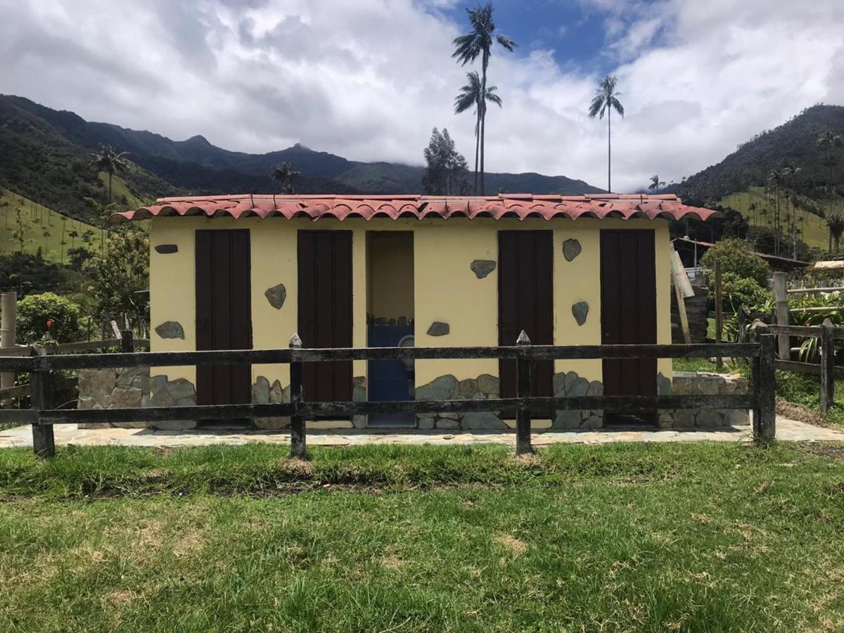 Refugio Nidos Del Condor Cocora سالنتو المظهر الخارجي الصورة