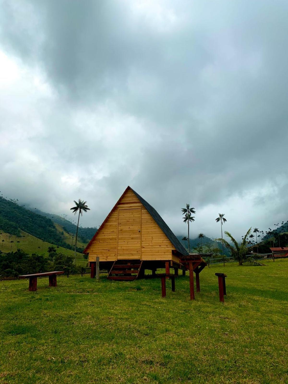 Refugio Nidos Del Condor Cocora سالنتو المظهر الخارجي الصورة
