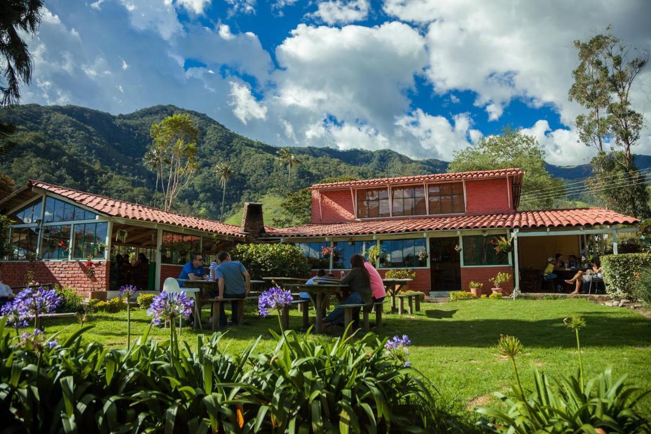 Refugio Nidos Del Condor Cocora سالنتو المظهر الخارجي الصورة