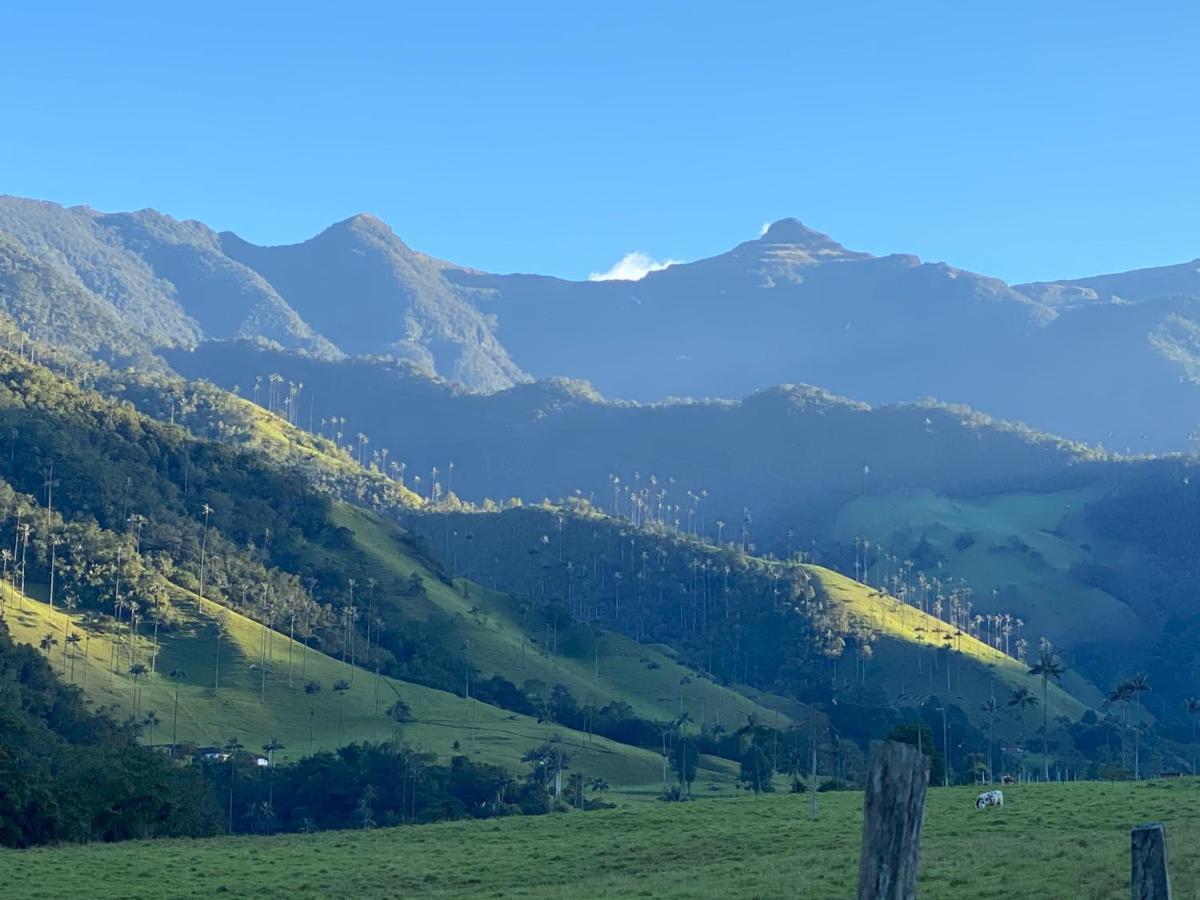 Refugio Nidos Del Condor Cocora سالنتو المظهر الخارجي الصورة